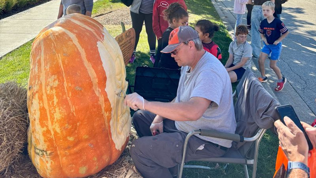 Fall Bash at Deer Park Town Center